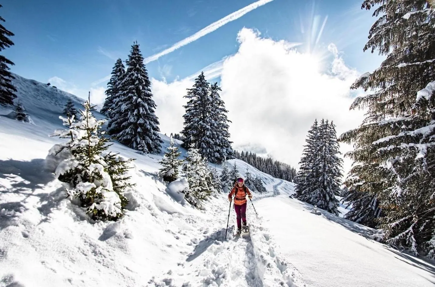 Biches Bib31 Mountain & Quiet 4 Pers Apartment Chatel