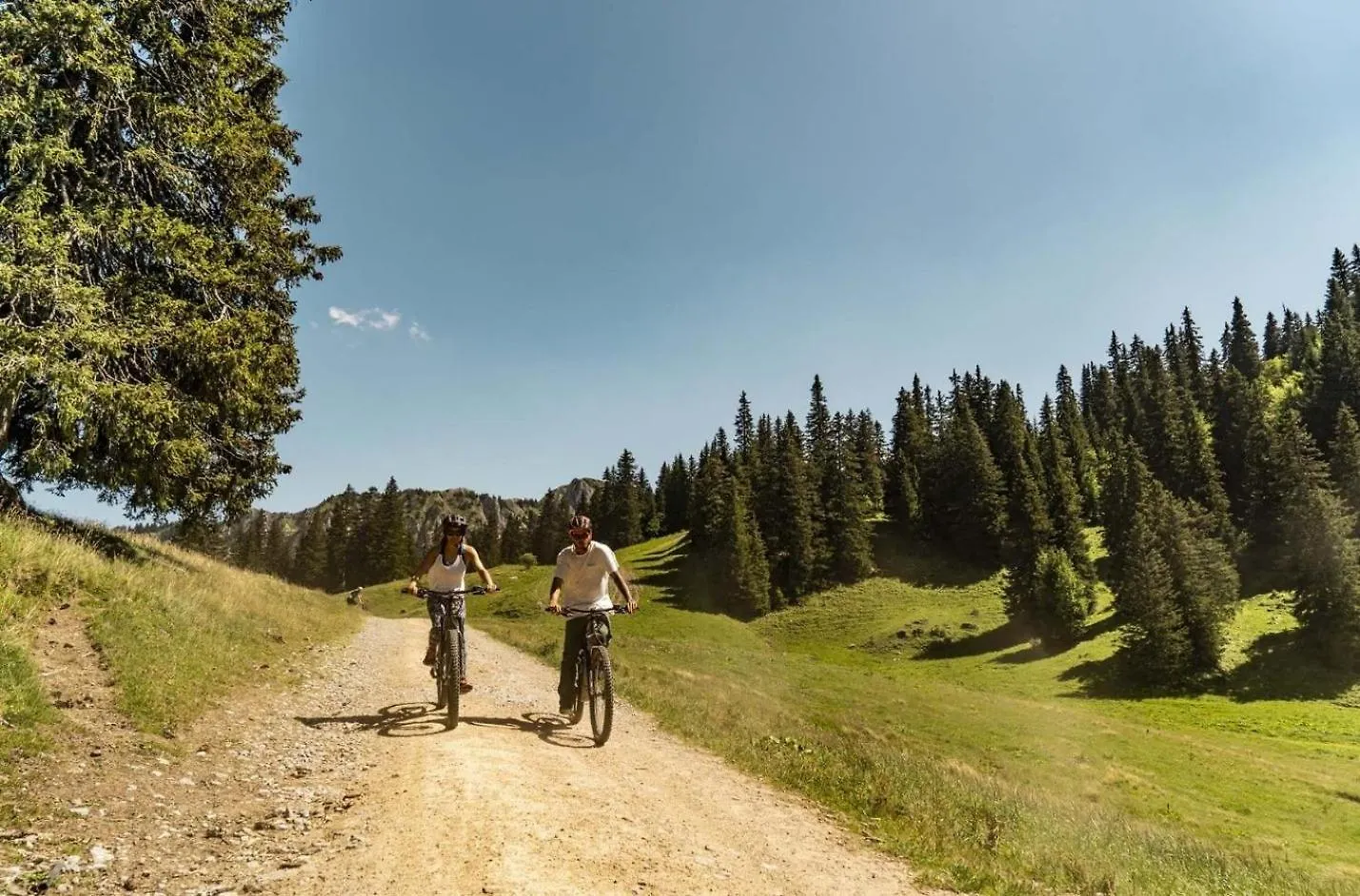 Biches Bib31 Mountain & Quiet 4 Pers Διαμέρισμα Châtel